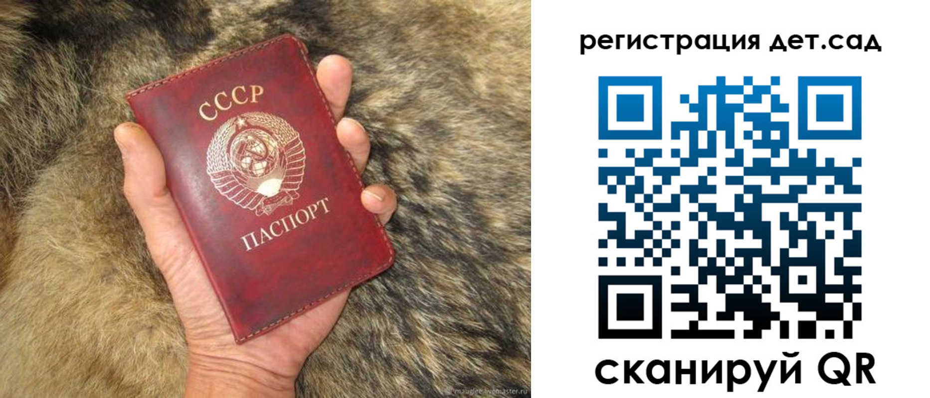 временная регистрация для школы в Димитровграде