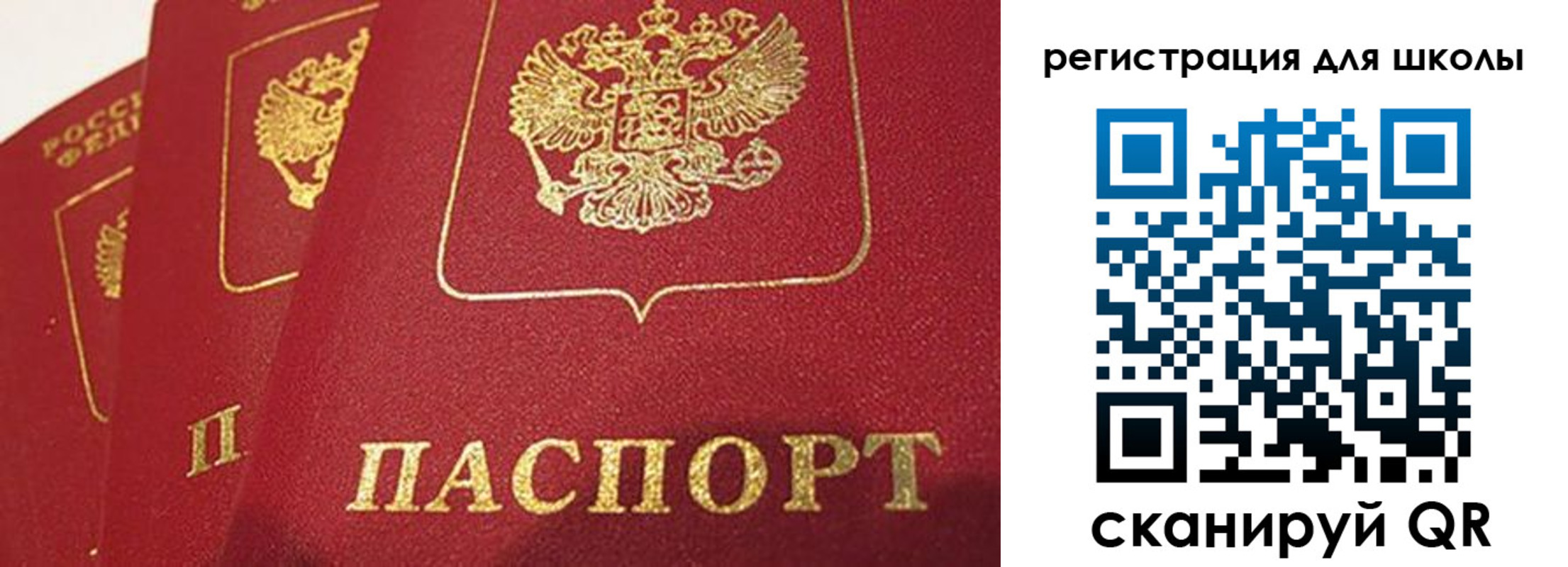 найти адрес прописки в Димитровграде